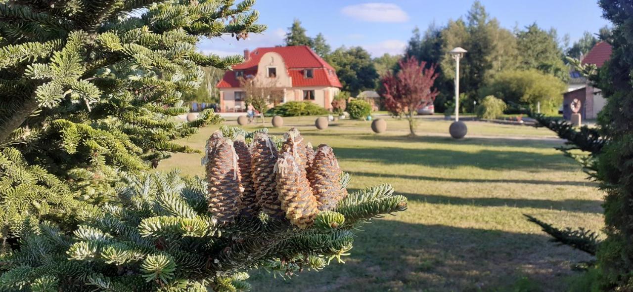 Sielanka - Domki I Pokoje Pod Leba Zarnowska Bagian luar foto