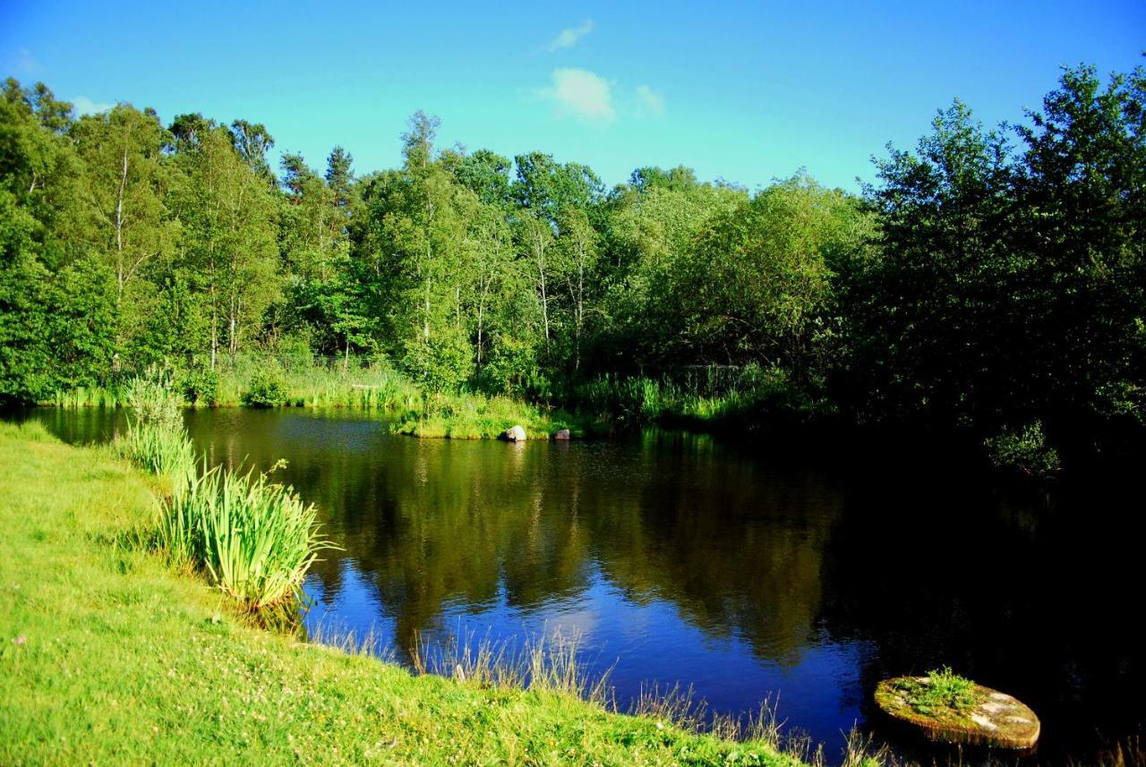 Sielanka - Domki I Pokoje Pod Leba Zarnowska Bagian luar foto